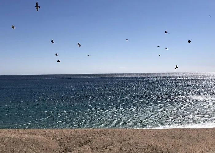 Modernist Appartement